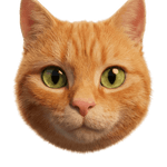 Image iconne