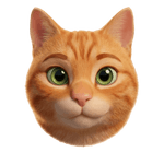 Image iconne