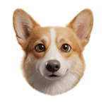 Image iconne