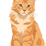 Image iconne