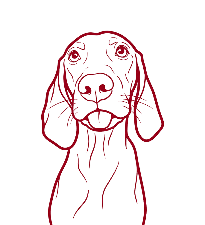 Voorbeeld van jouw ontwerp